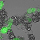 Illustration for article titled Microscopic machines could produce medicine directly inside your body